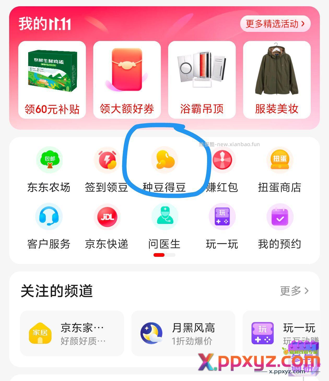 种豆得豆进去有概率弹9-8 - PPXYZ资源网