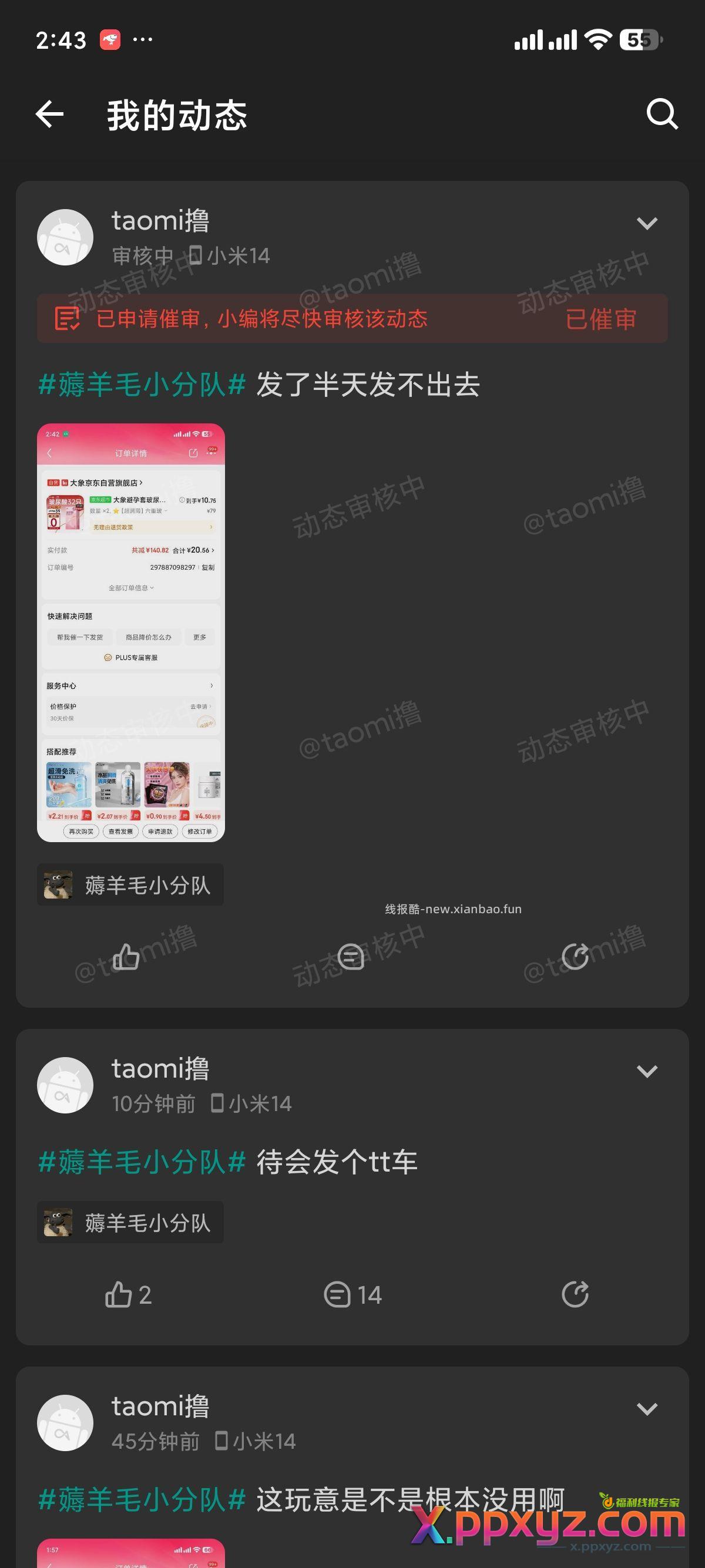 这这这 - PPXYZ资源网
