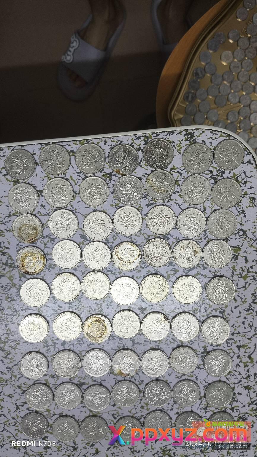 搞卫生清出来的有啥能收藏的吗？ - PPXYZ资源网