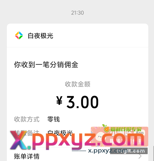 白夜极光有包老实下载 - PPXYZ资源网