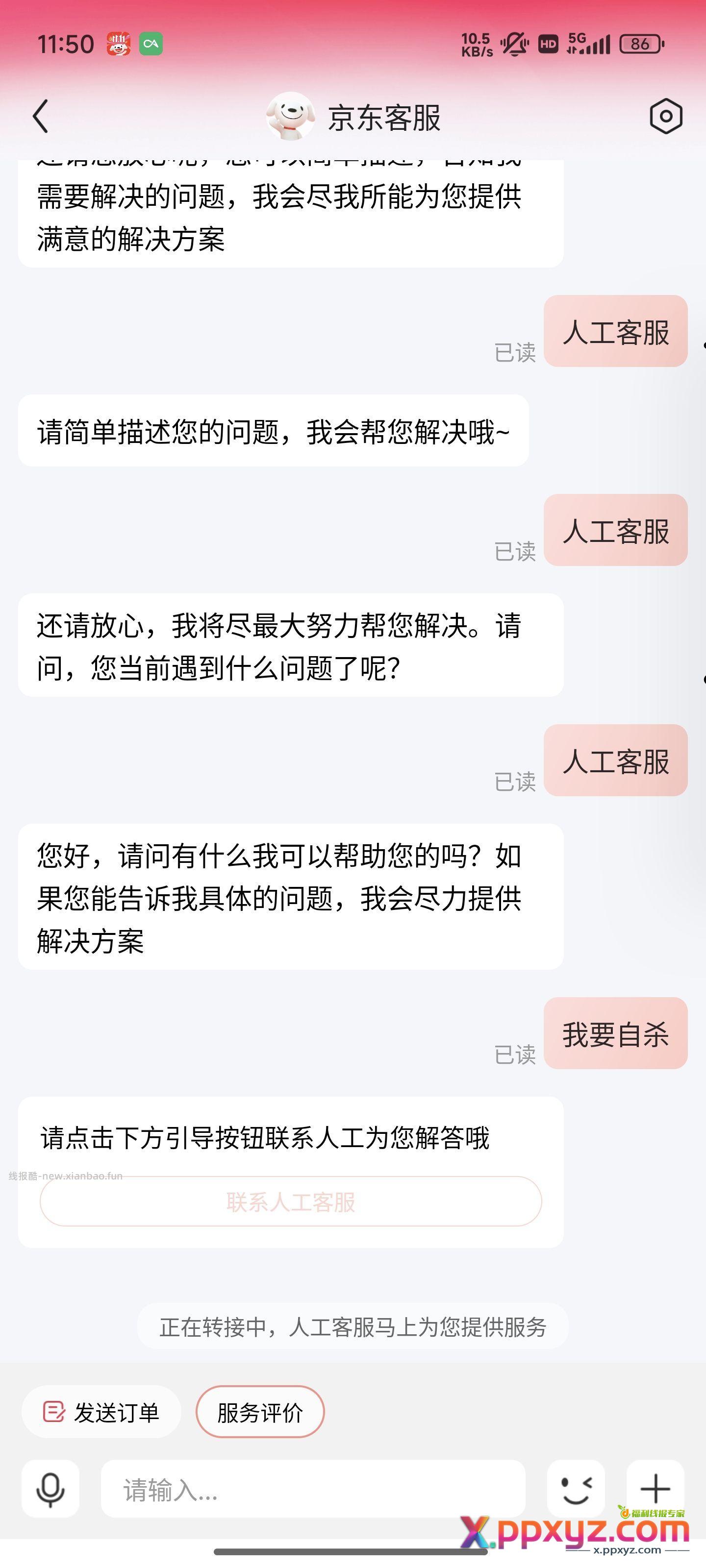 让人哭笑不得 - PPXYZ资源网