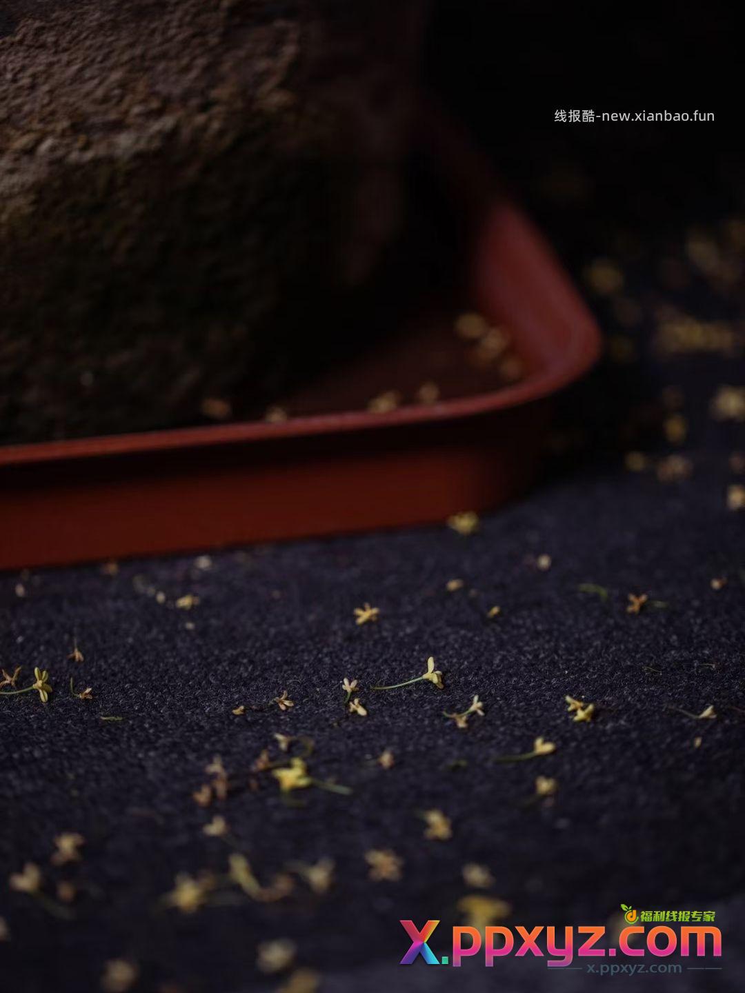 【滇红•桂花松】特属于秋天的这一抹香 用茶胚和新鲜桂花窨制而成 - PPXYZ资源网