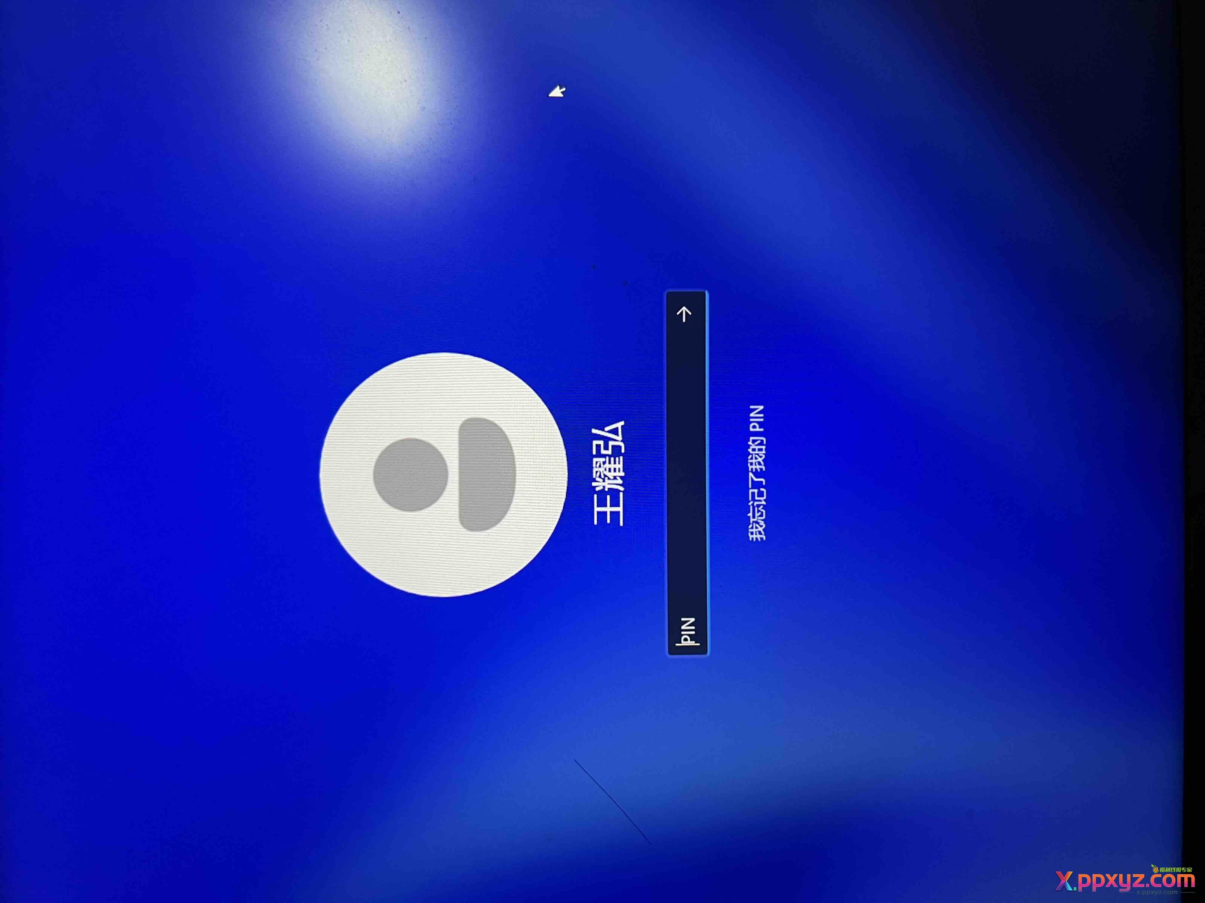 半年没用电脑了，win11密码忘记了，可以进pe系统把密码删除吗 - PPXYZ线报