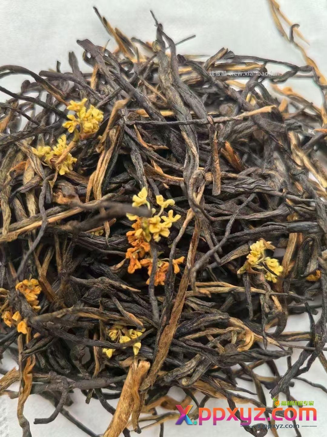 【滇红•桂花松】特属于秋天的这一抹香 用茶胚和新鲜桂花窨制而成 - PPXYZ资源网