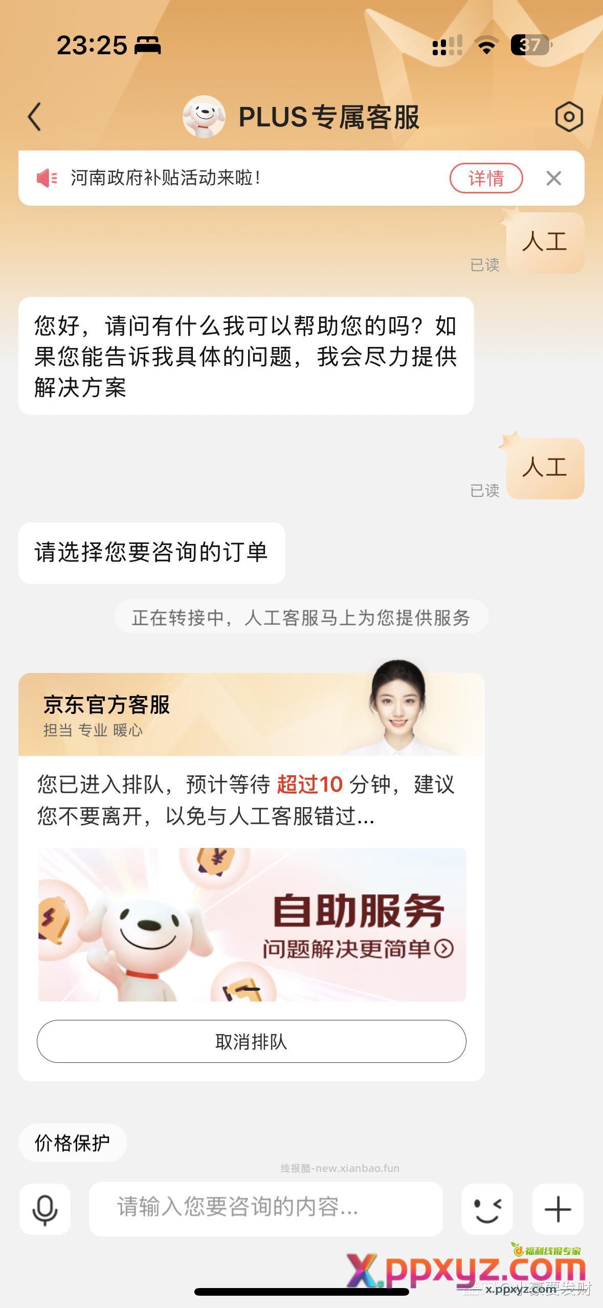 确定过眼神 大黑耗子 - PPXYZ资源网