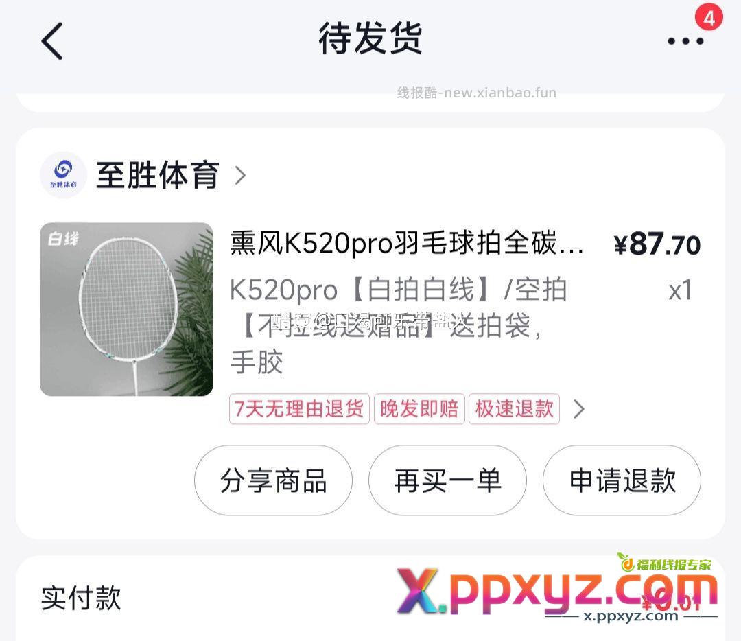 bug价 速度冲 - PPXYZ资源网
