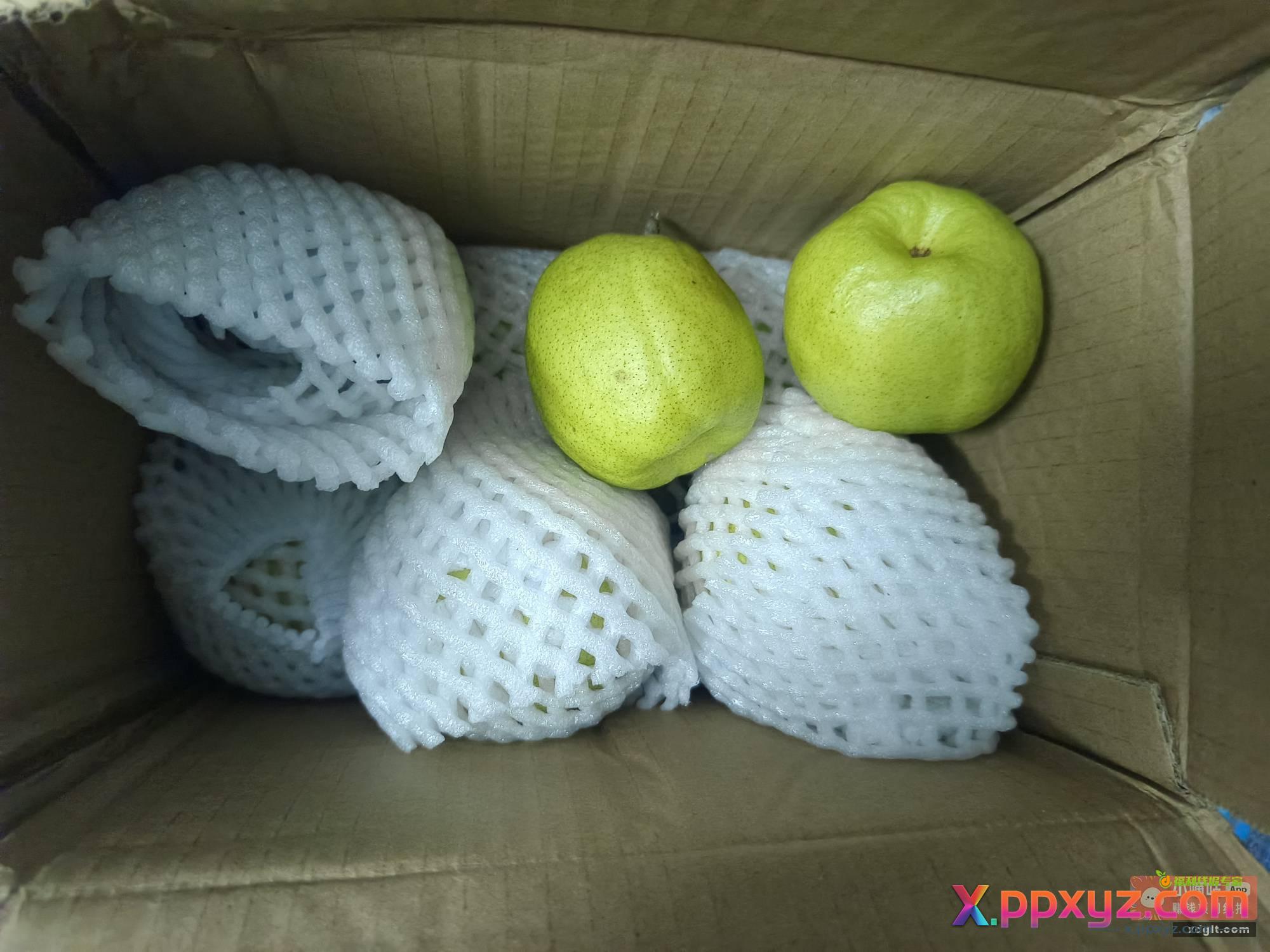 最近在京东超市买过水果的 - PPXYZ资源网