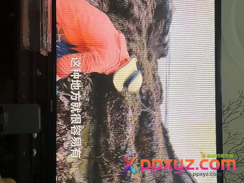 天天看赶海视频，我怀疑是真的 - PPXYZ线报