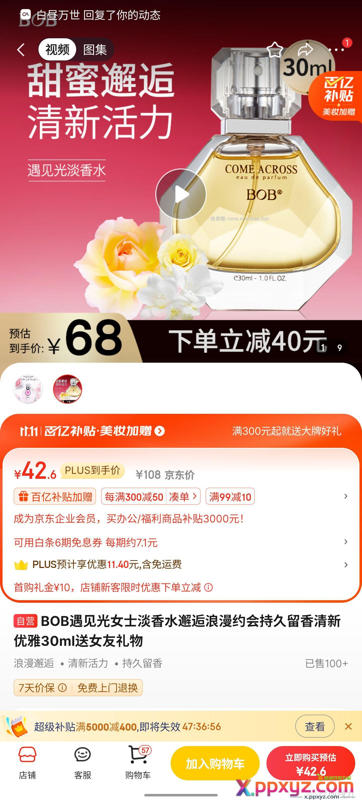 香水理论零撸 - PPXYZ资源网