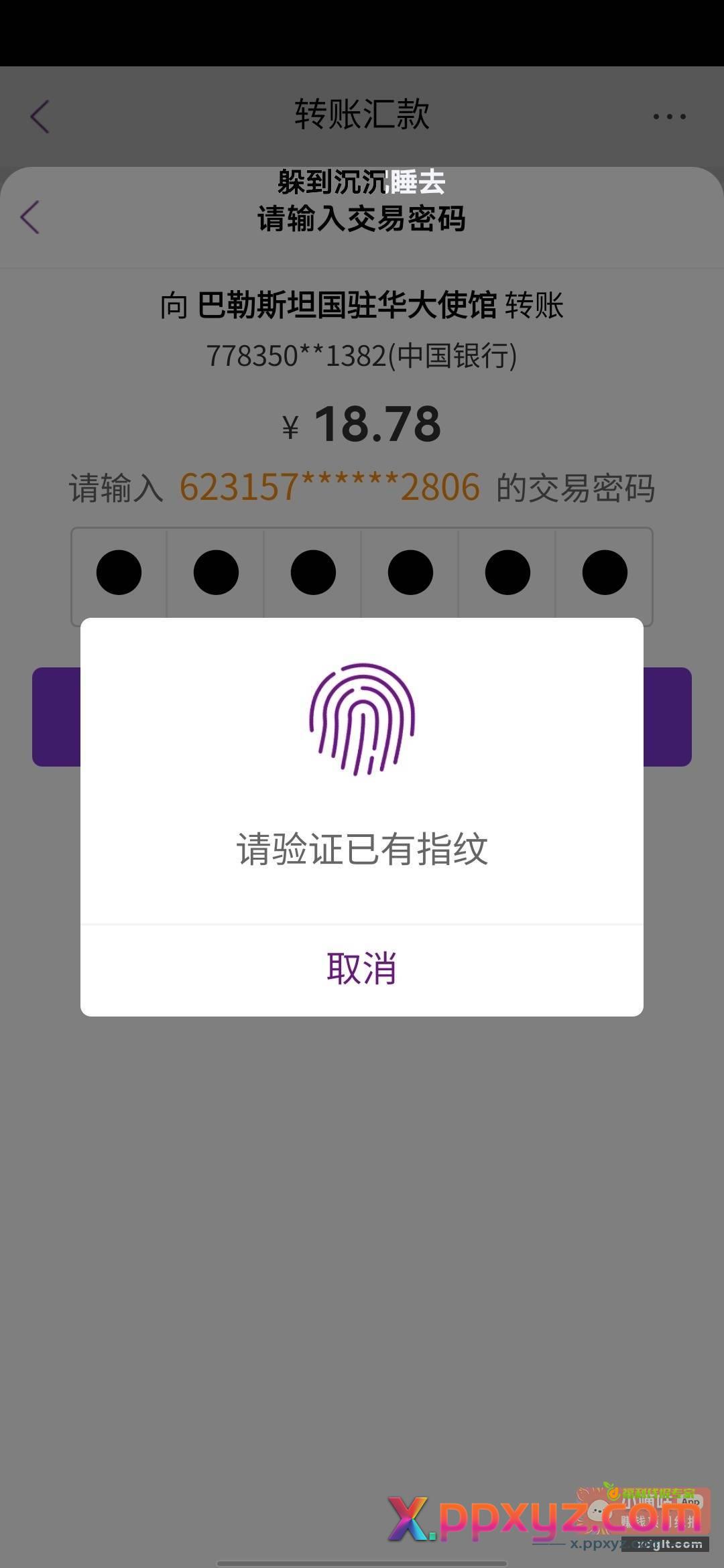 我兑现我的承诺 可我人微言轻力量微弱 - PPXYZ资源网
