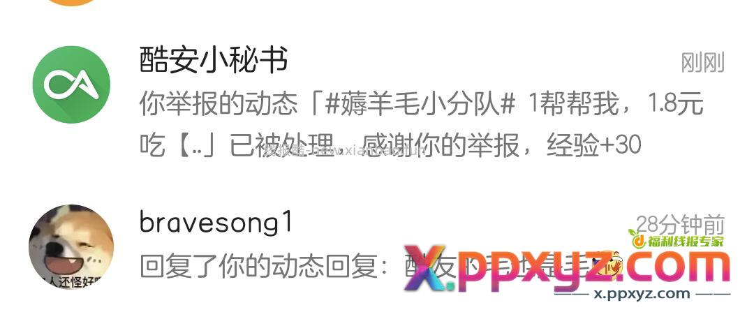 酷 友 的 毛 也 是 毛 - PPXYZ资源网