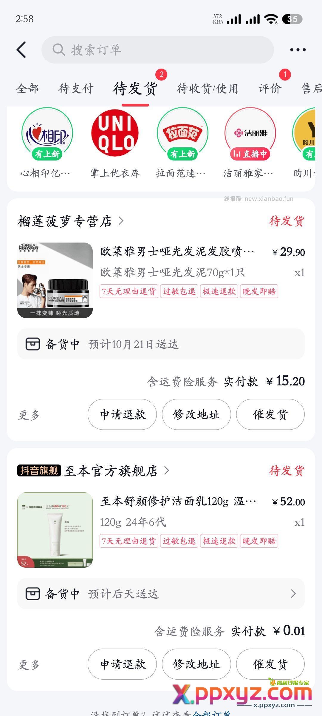 双11最大的毛 - PPXYZ资源网
