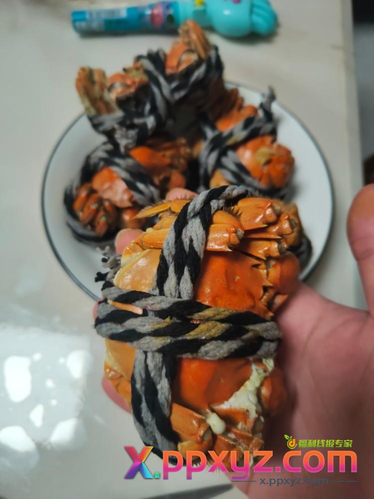 感谢拼多多，吃上平价的大闸蟹了，62块钱，买了8只大闸蟹，公母各4只 - PPXYZ线报