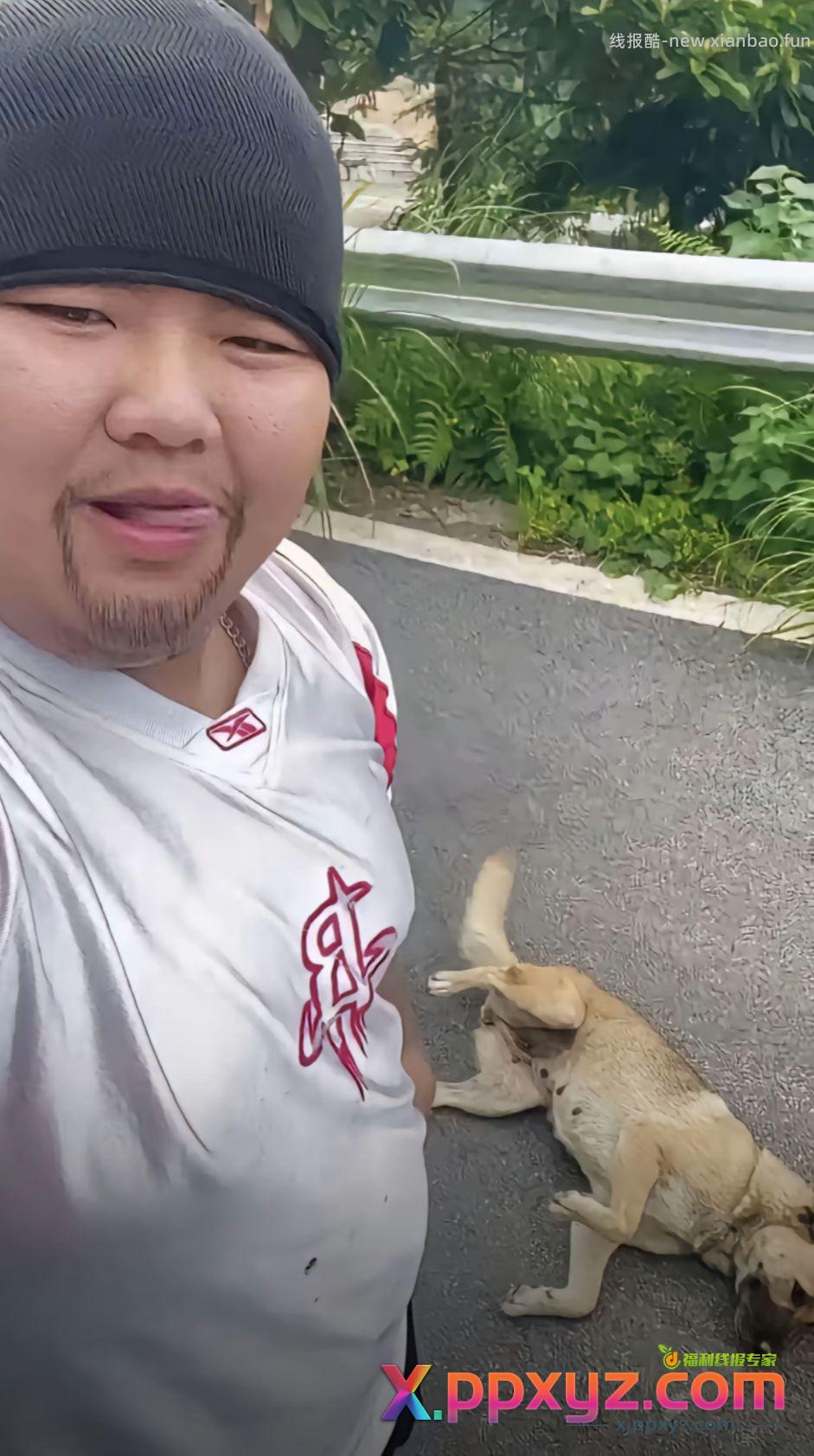 东哥过河拆桥 - PPXYZ资源网