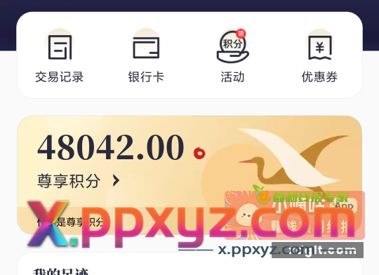 全体都有 都去查一下中国银行积分 - PPXYZ资源网