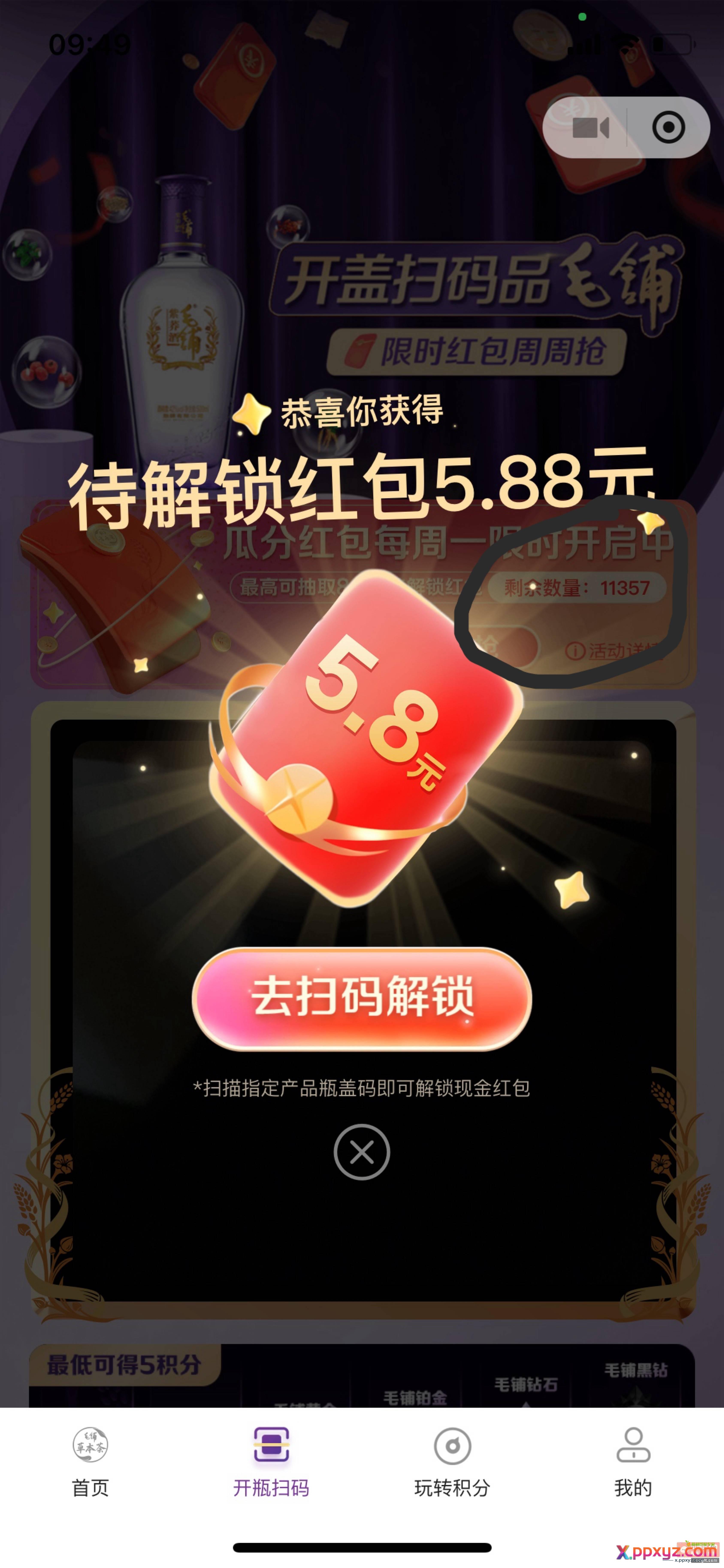 狗毛铺中奖也看号？ 间隔1分钟 - PPXYZ资源网