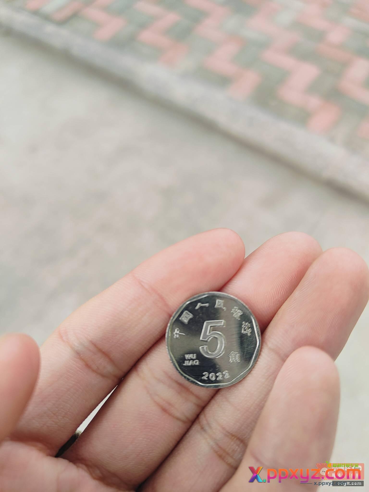 第一次见白色的五毛 我记得五毛都是黄色的啊 - PPXYZ资源网