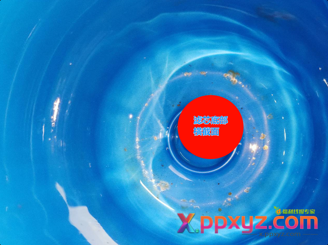 又到双11了,我说下我为什么不推荐大白瓶/大蓝瓶。 - PPXYZ线报 又到双11了,我说下我为什么不推荐大白瓶/大蓝瓶。 - PPXYZ线报