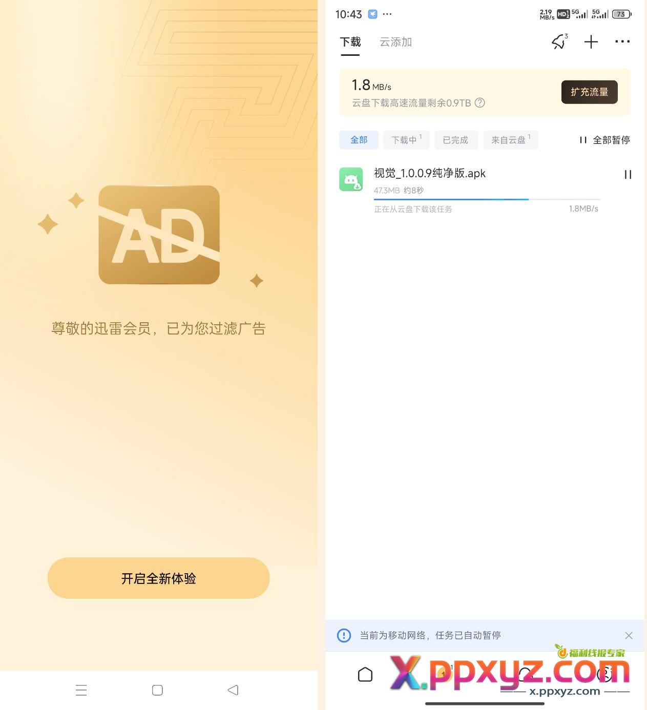 最新迅雷解锁年费会员，免除广告之扰，下载速度飞起