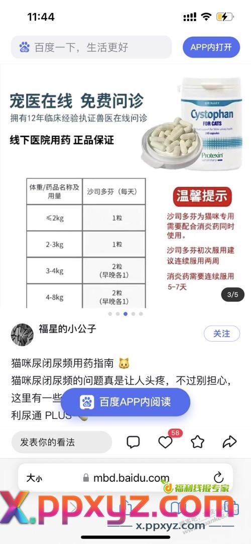 发个猫用神药沙斯多芬，治疗猫咪尿血尿少尿频尿闭 - PPXYZ线报