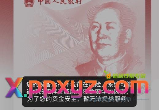 数字人民币提示异常怎么整 - PPXYZ线报