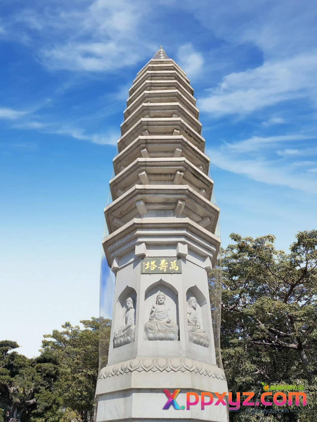 纵横小说免费版哪位大牛有？？ - PPXYZ线报