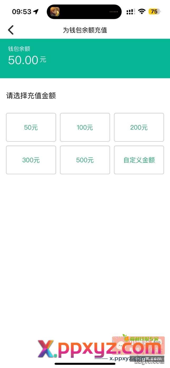 上海交通卡充值余额 如图 - PPXYZ资源网