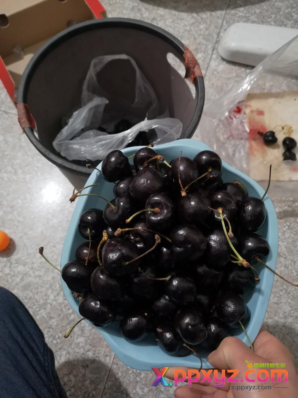 我踏马简直气死 甩了一半多车厘子 - PPXYZ线报