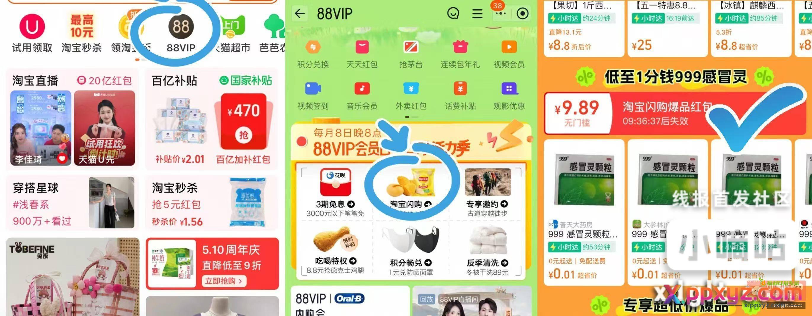首页→88vip如图 - PPXYZ资源网
