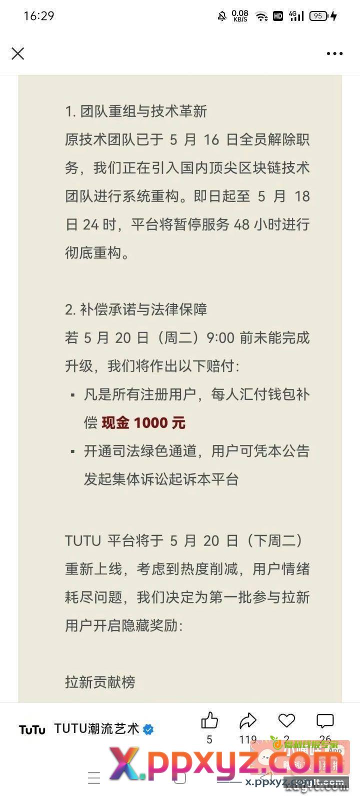 求你了兔兔 千万别起来 - PPXYZ资源网